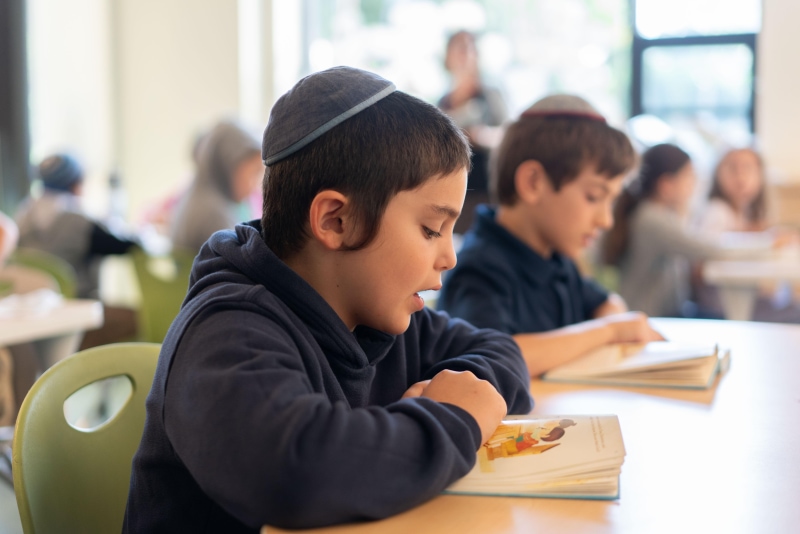 Boy reading at his desk