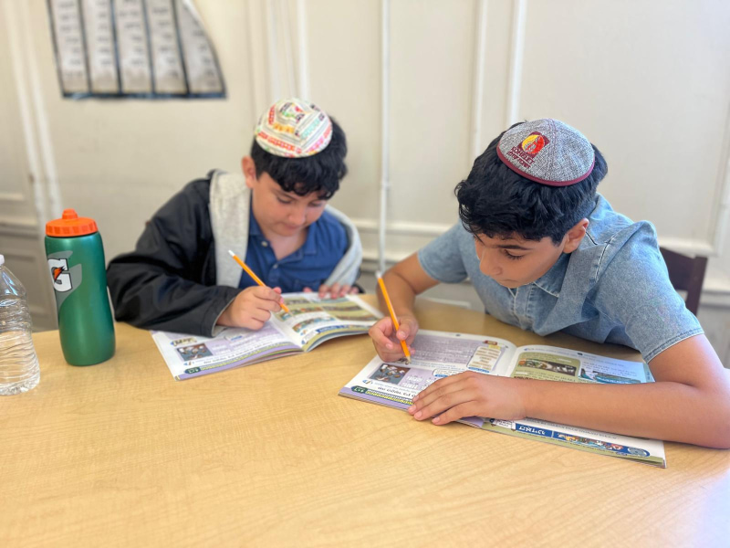 Two boys studying at table